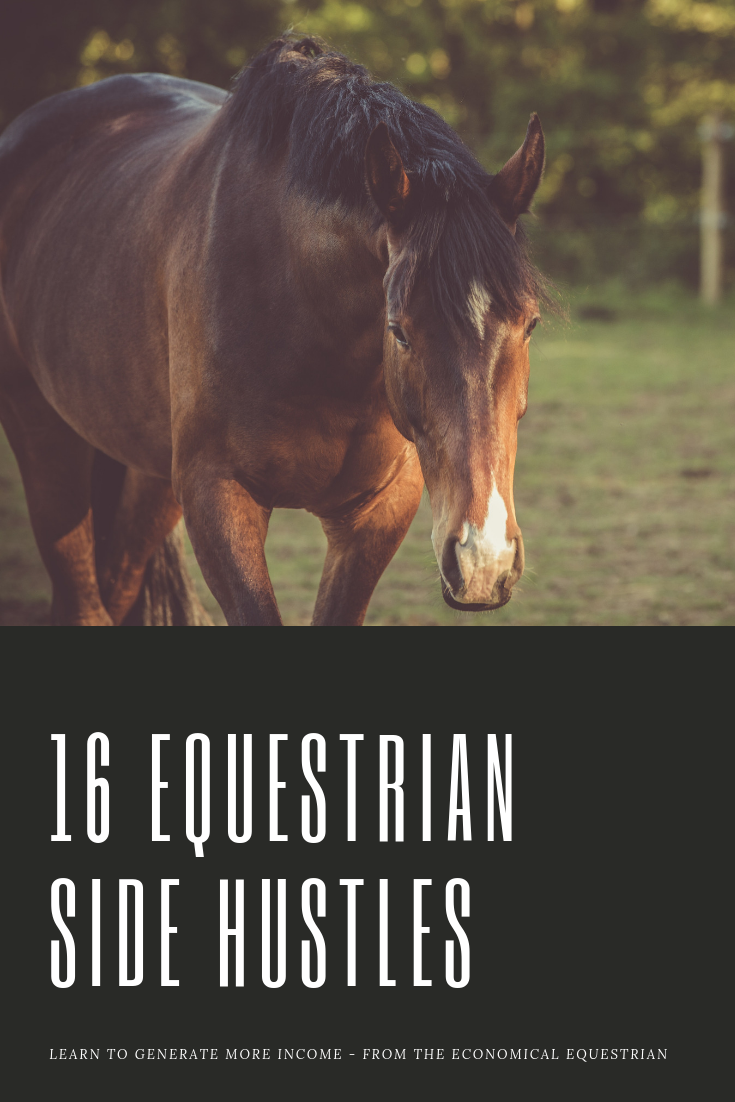 16 Equestrian Side Hustles