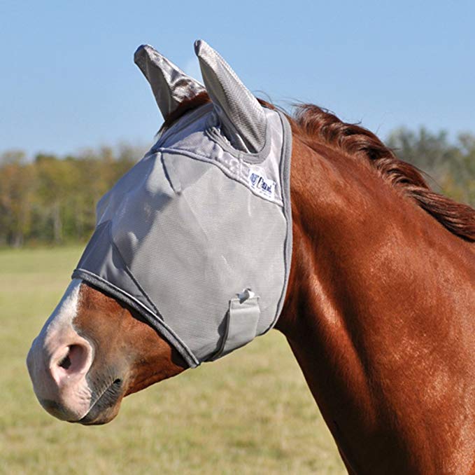 Cashel Fly Mask. The Best Everyday Fly Mask to control flies on horses. 