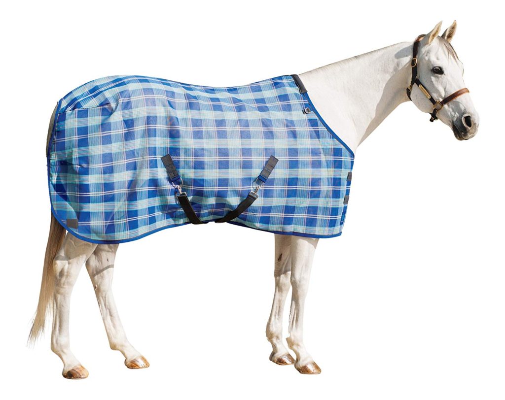 Colorful Fly Sheet - the Kensington Platinum SureFit Fly Sheet.  Great fly control for horses. 