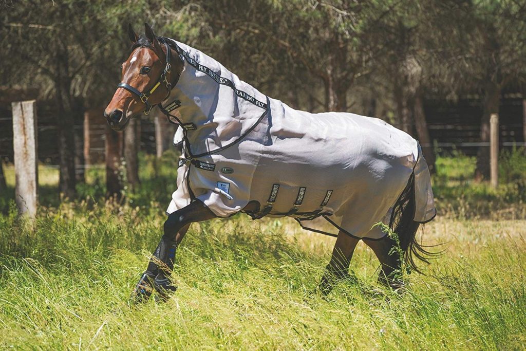 Best fly sheet for horses, the Rambo Fly Buster with No Fly Zone. 