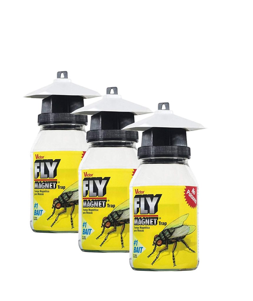 Fly Magnet Fly Trap. Great to control flies on horses. 