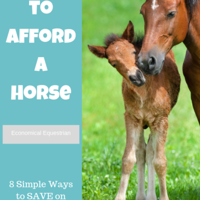 How to Afford a Horse – Save Money on Horse Ownership
