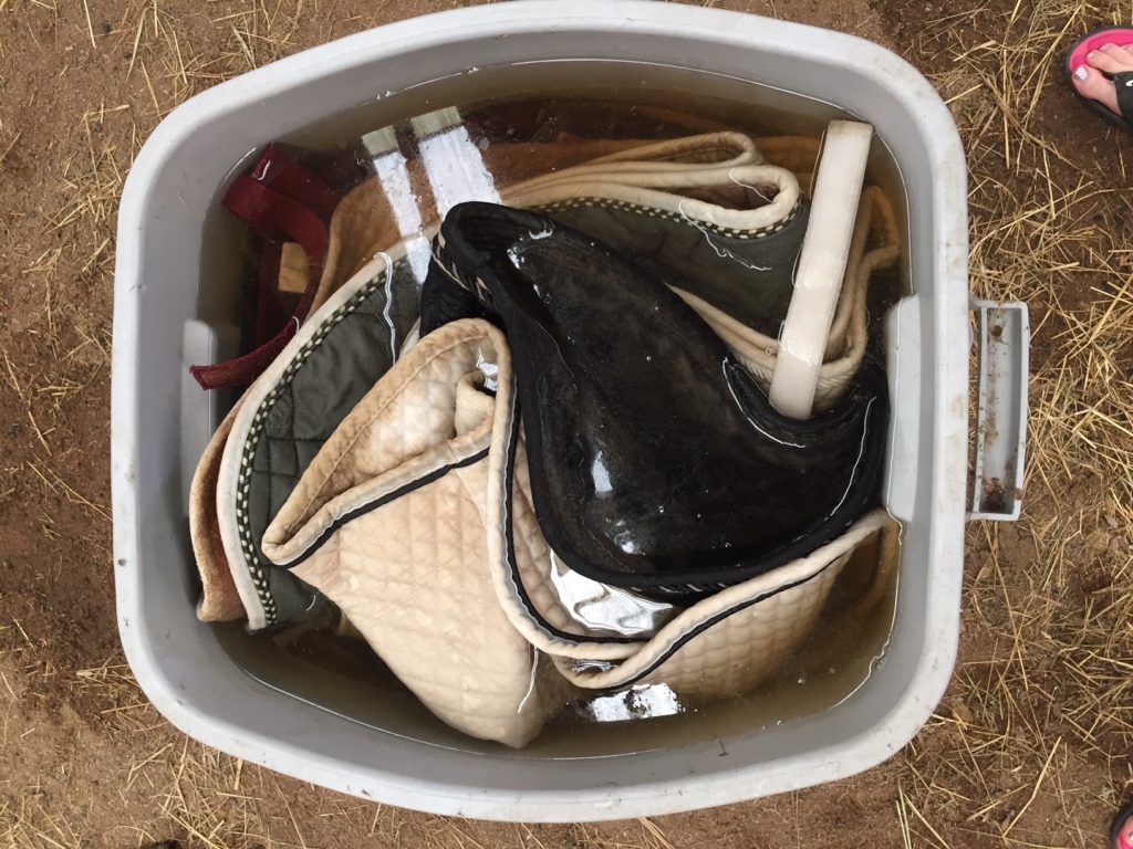 Dirty saddle pads soaking