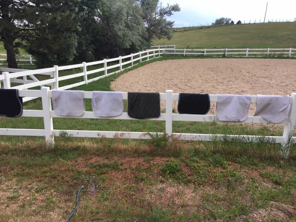 Saddle pads cleaned without a washing machine! 