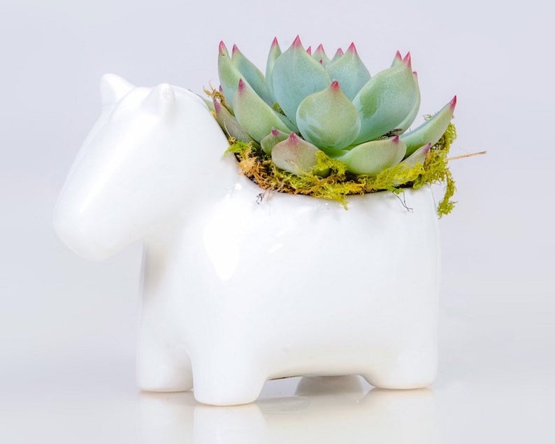 Horse planter for equestrian gift