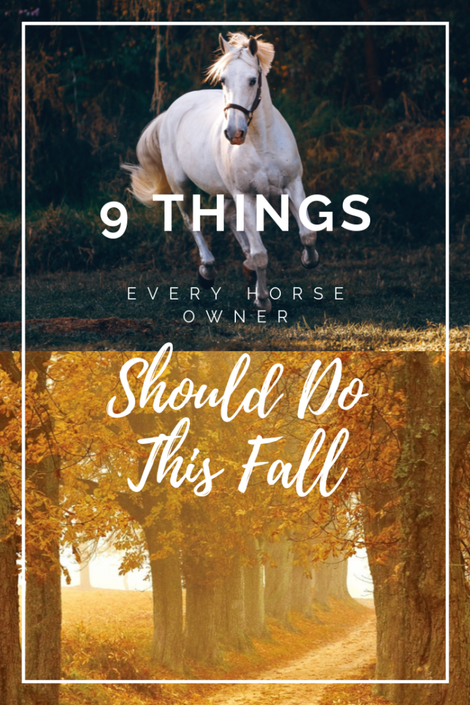 9 Things Every Horse Owner Should Do This Fall Pinterest Image