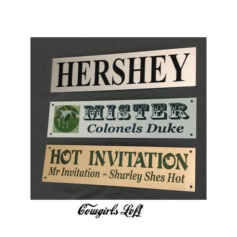 Horse Stall Sign Metal
