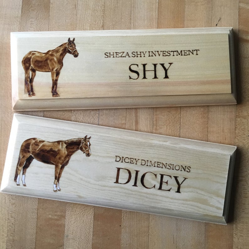 Custom Made Wood Burned Stall Sign.  Hand drawn horse and your horse's name.  