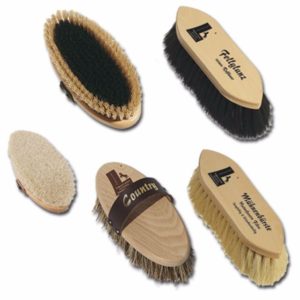 High quality Leistner horse brush set 