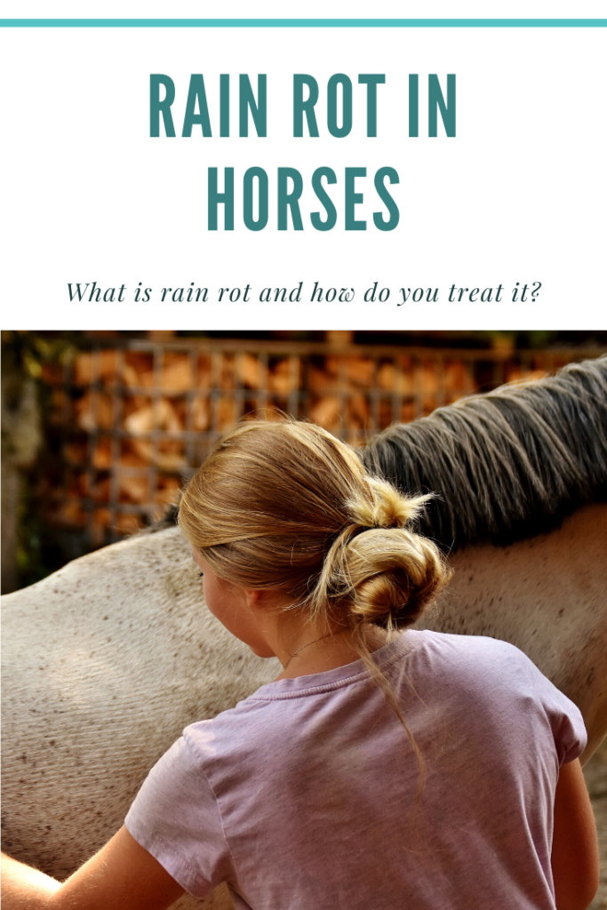 Rain rot in horses pinterest image