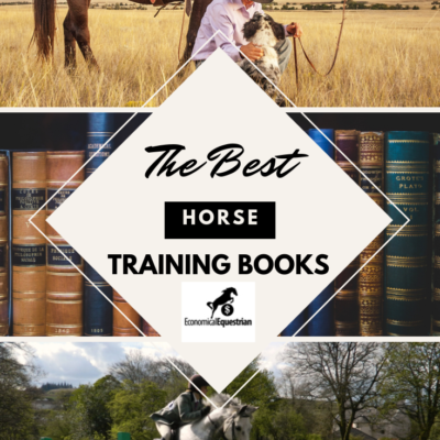 The Top 14 Horse Training Books for Training and Riding Horses