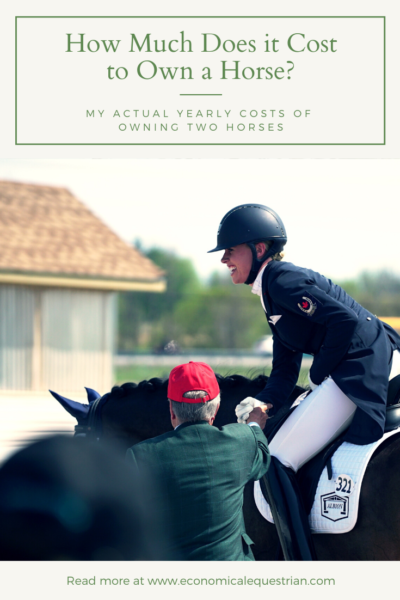 How Much Does a Horse Cost? Learn How Much It Costs to Care For a Horse.