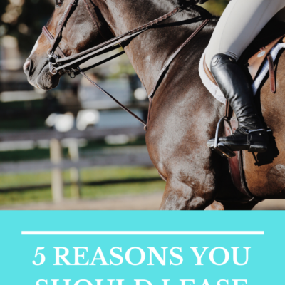 5 Great Reasons to Lease a Horse Rather Than Own One