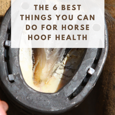 Things you can do to Improve your Horse’s Hoof Health