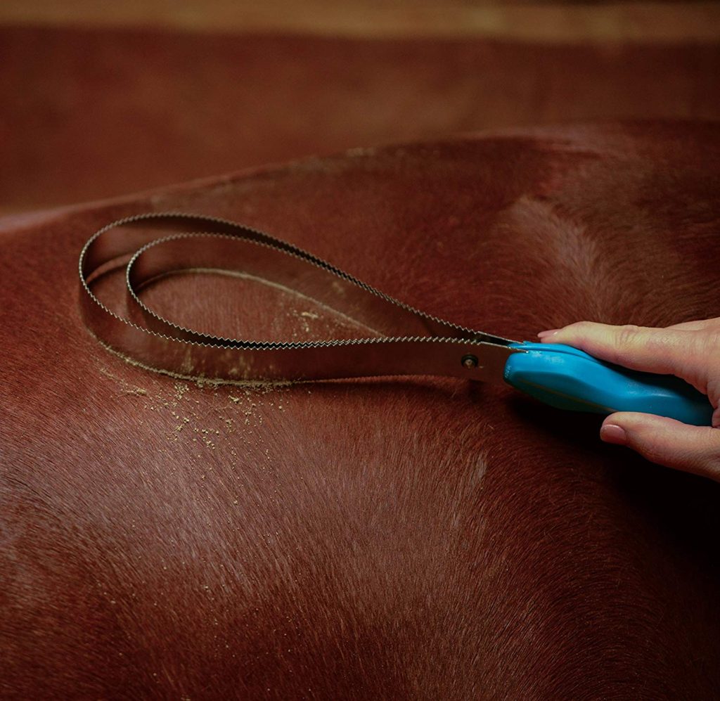 Metal Shedding Blade for horses