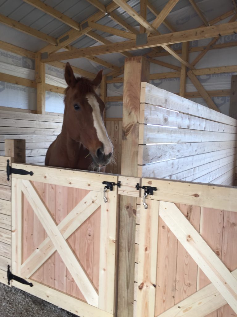 Completed DIY horse stall door