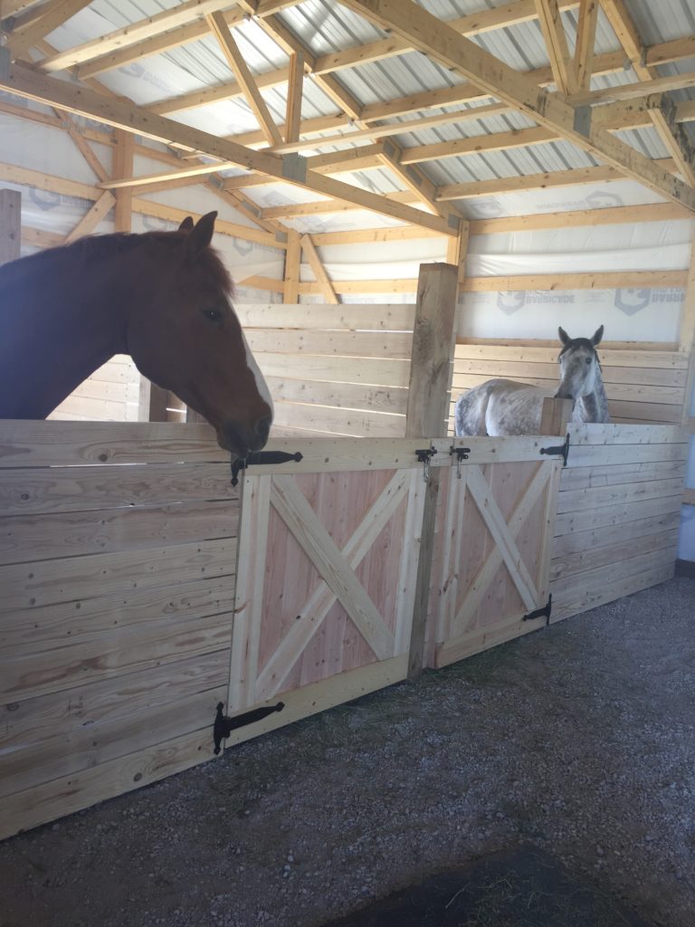 DIY Dutch Stall Doors