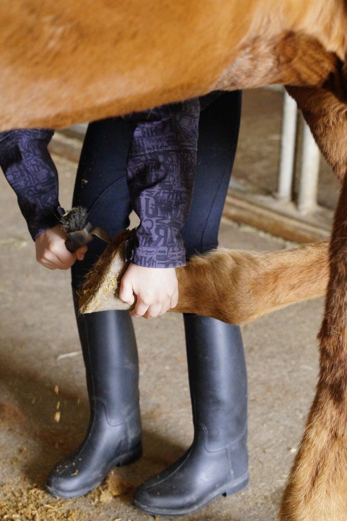 Why should you pick out your horse's feet every day.