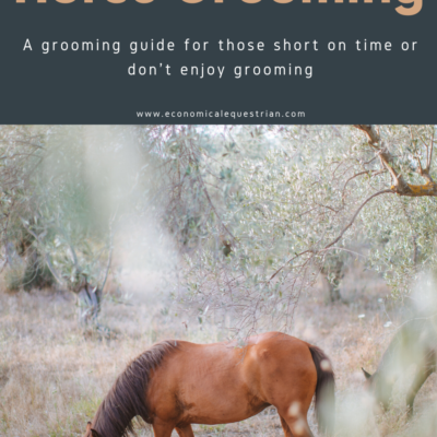 A Lazy Girl’s Guide to Grooming a Horse