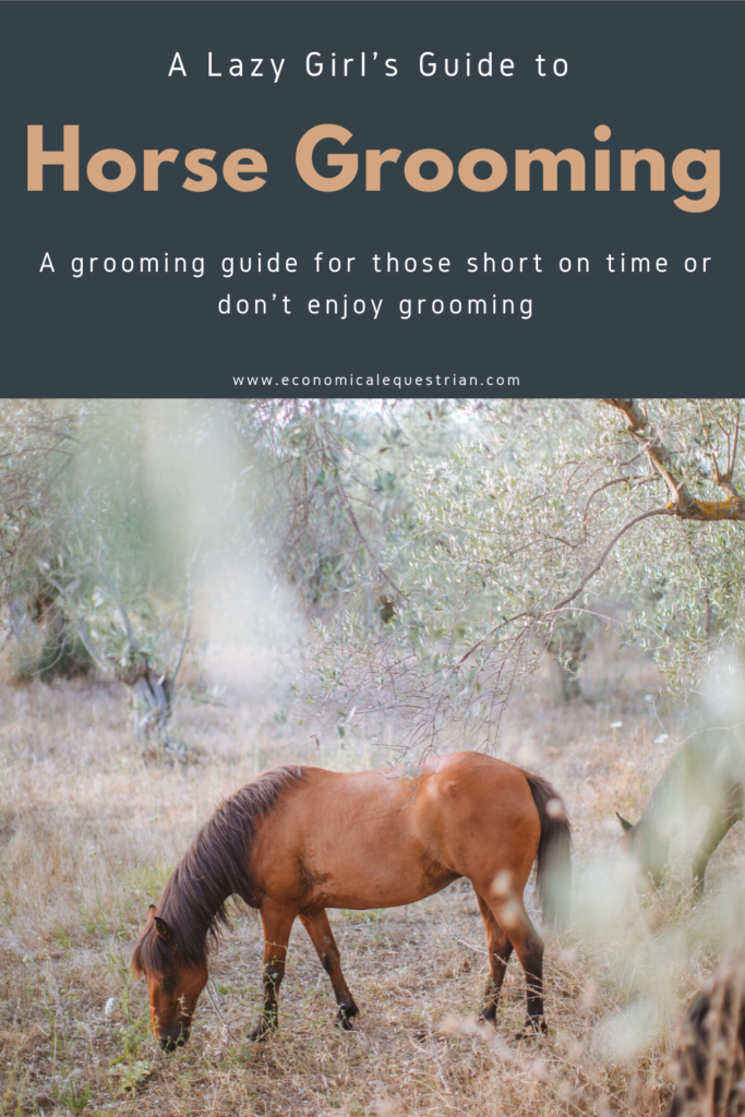 Lazy girl's guide to horse grooming