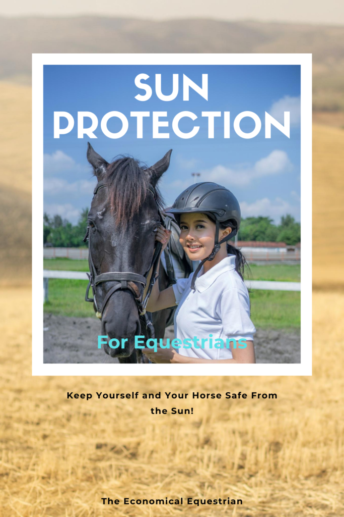 Sun Protection for Horses and Horseback Riders