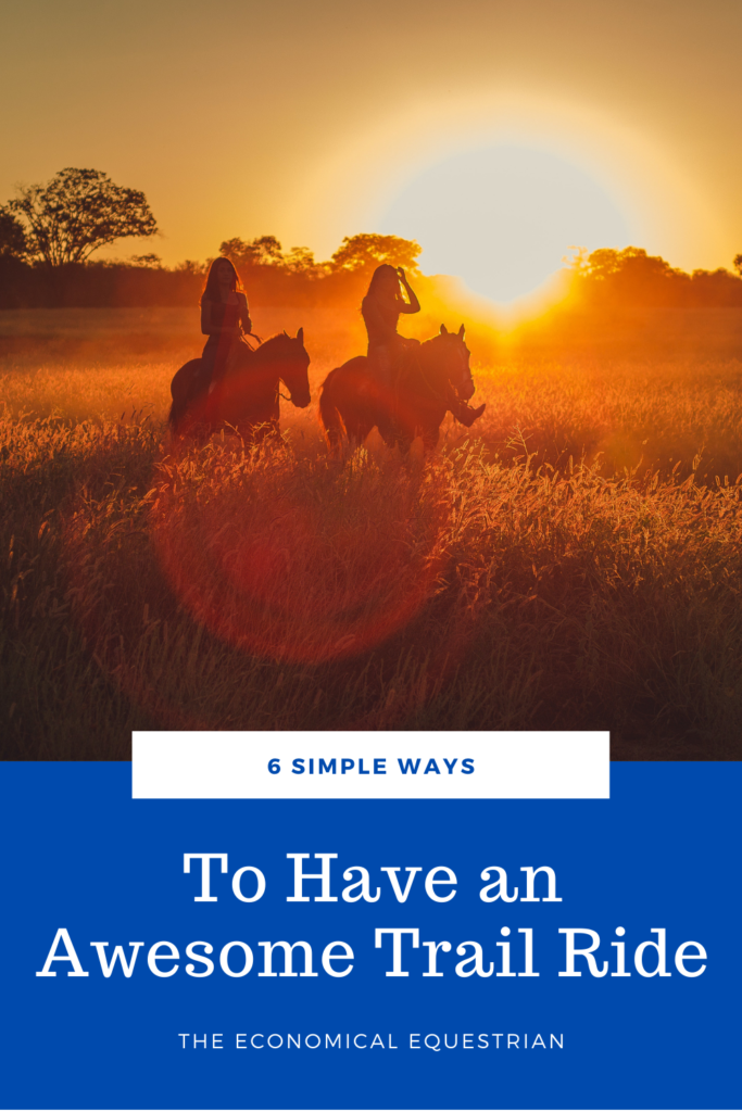 How to have a successful and fun horse trail ride