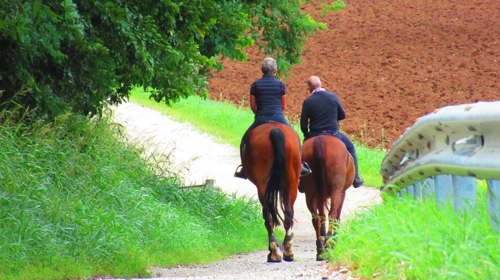 How to have trail riding success