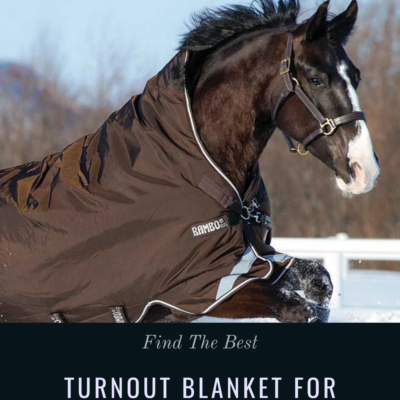 How to Choose a Turnout Blanket for Your Horse