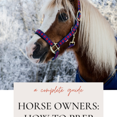 How to prep for Winter with Horses