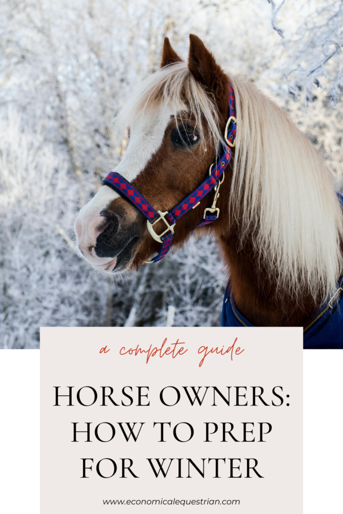 Horse owner prep for winter